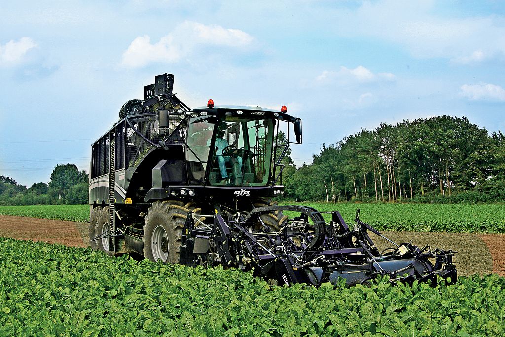 Grimme