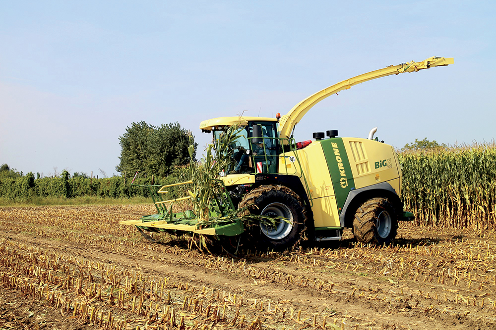 Krone